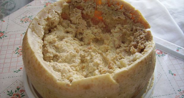 Casu Marzu 