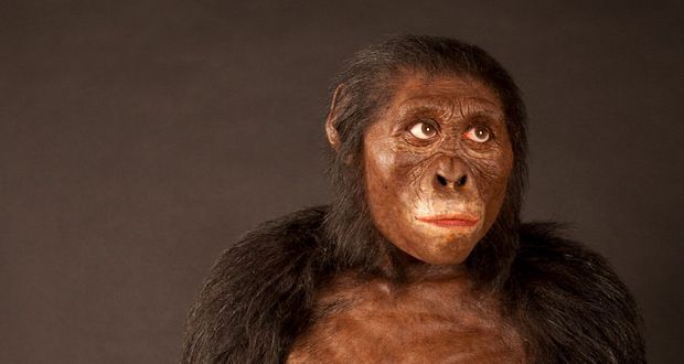 Missing Link