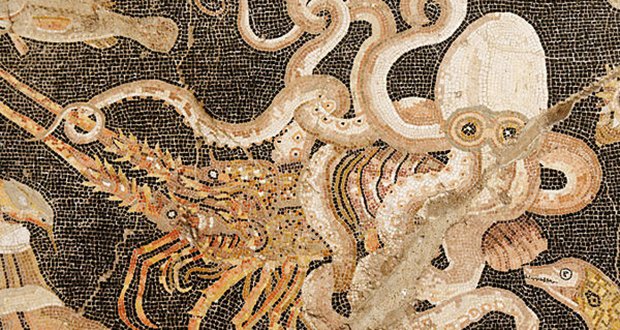 Puteoli Octopus