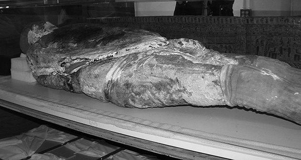 Soap mummies