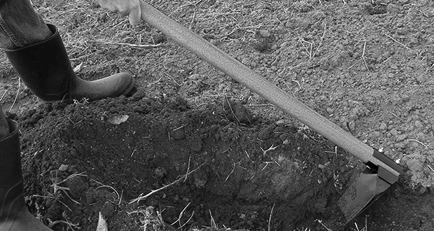 Ditch digger