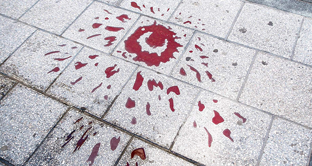 Sarajevo Roses