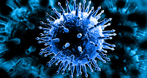 Influenza virus