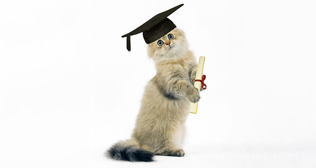 Fake degrees