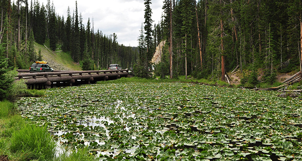Isa Lake 