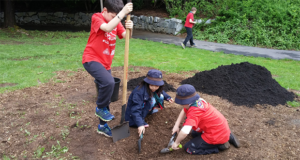 Planting trees