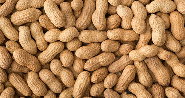 Peanuts