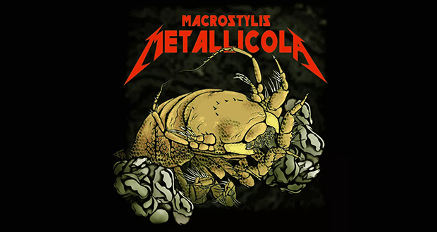 Metallica
