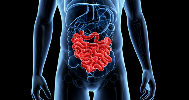 Troubled intestine