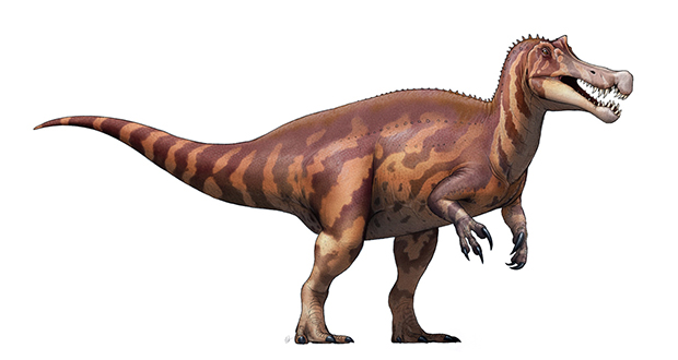 Irritator