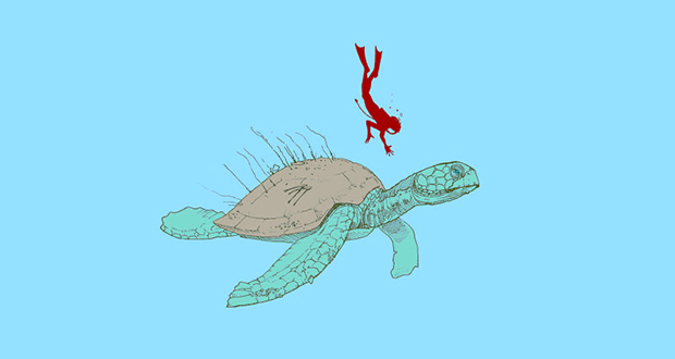 Atlantochelys mortoni
