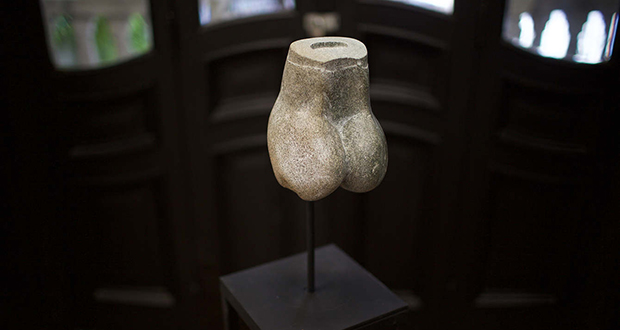 Scrotum Humanum