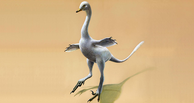 Murder Swan