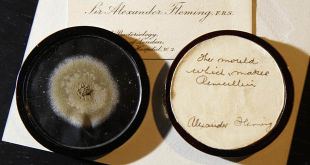 Alexander Fleming’s mold