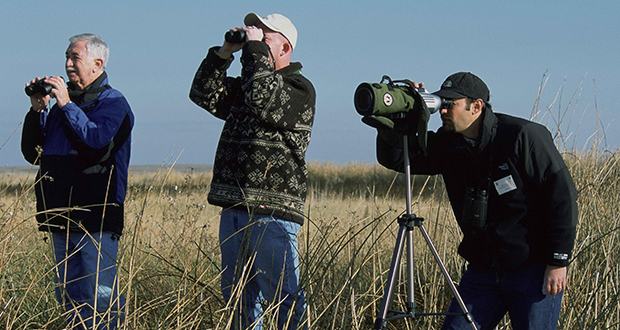 Bird-Watching