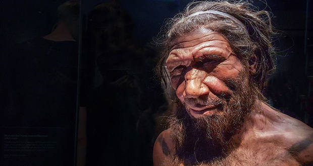 Neanderthals