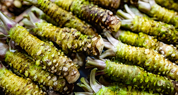 Real Wasabi
