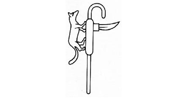 Mafdet’s Claw