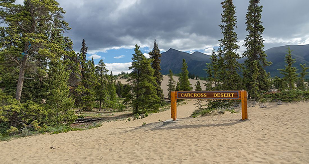 Carcross Desert