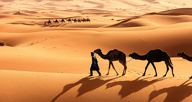 The Sahara