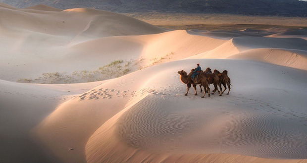 Gobi Desert