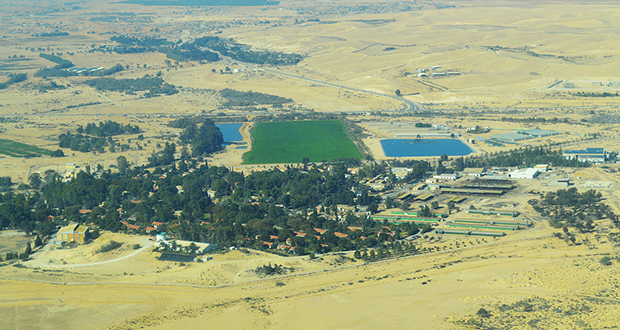 Shrimp Farming