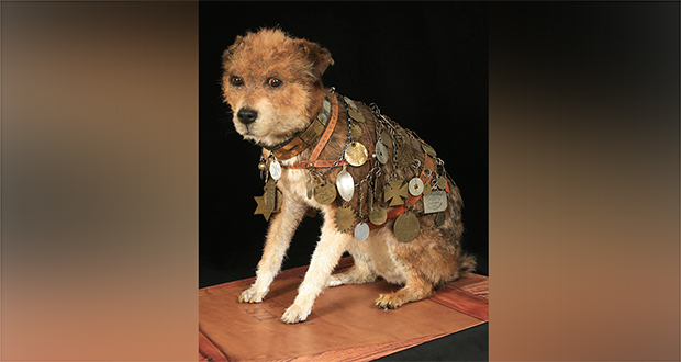 Owney