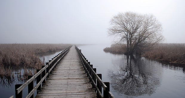 Point Pelee National Park