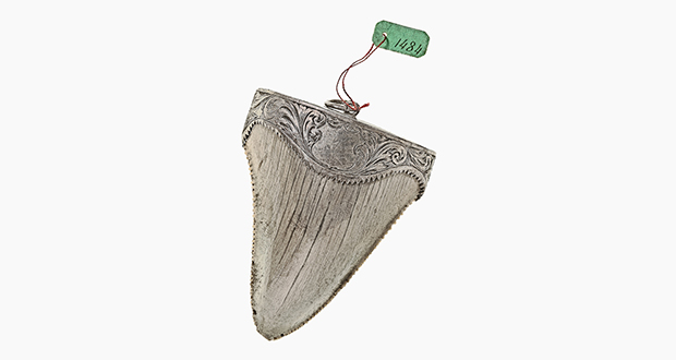 Tongue Stones