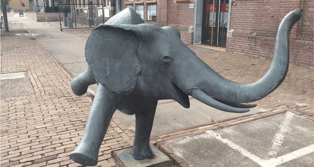 Jumbo