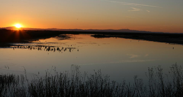 Lake Tulare