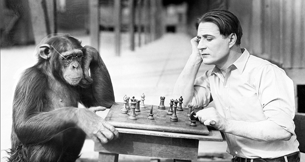 Human Vs Chimpanzee