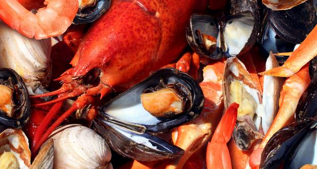 Shellfish Allergy 