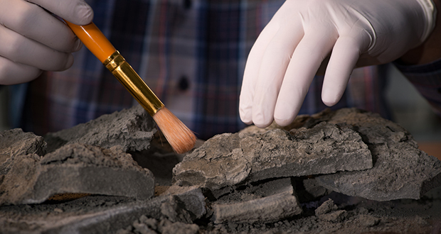 Human Carbon Dating