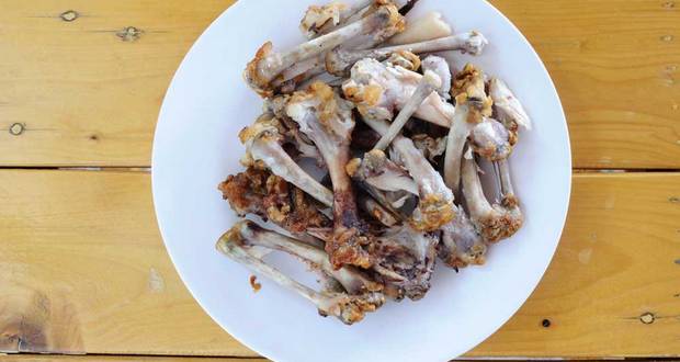 cooked bones
