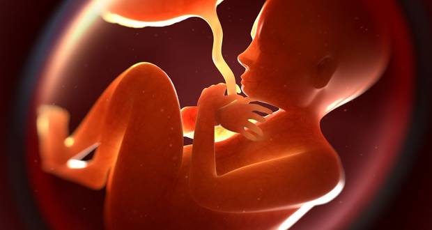 Fetal Abduction