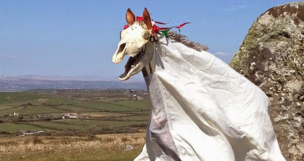 Mari Lwyd