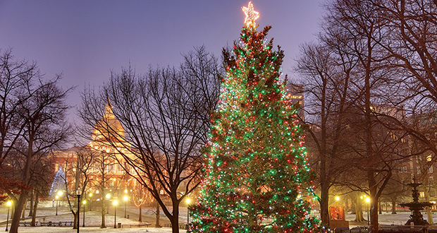 Christmas Tree Gift