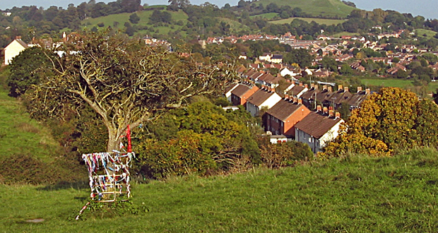 Glastonbury Christmas Tree