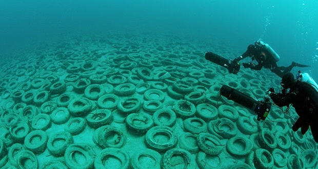 Osborne Reef 