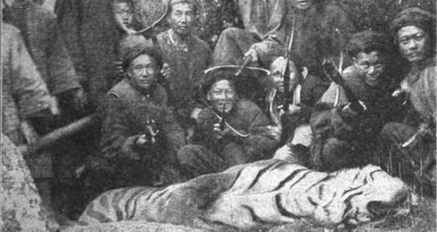 Mao's Tiger Extermination Program