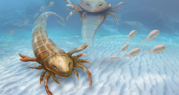 Eurypterid, the Scorpion Giants