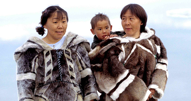 Arctic Tribe