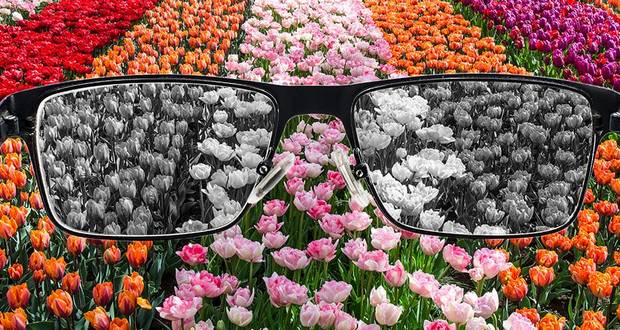 Color Blindness