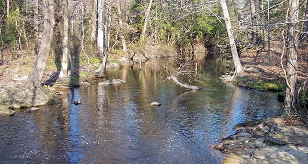 Murderkill River
