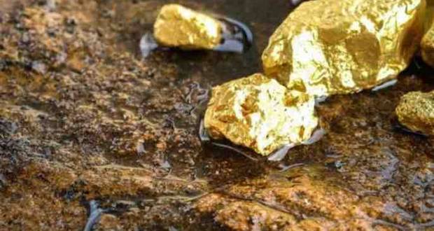 Gold
