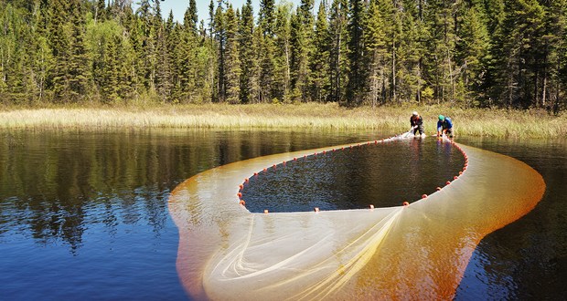 The Experimental Lakes Area
