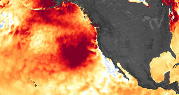 Pacific OCean's Blob Event