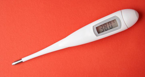 Rectal Thermometer