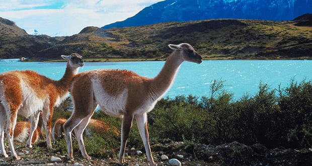 Microclimates of Peru